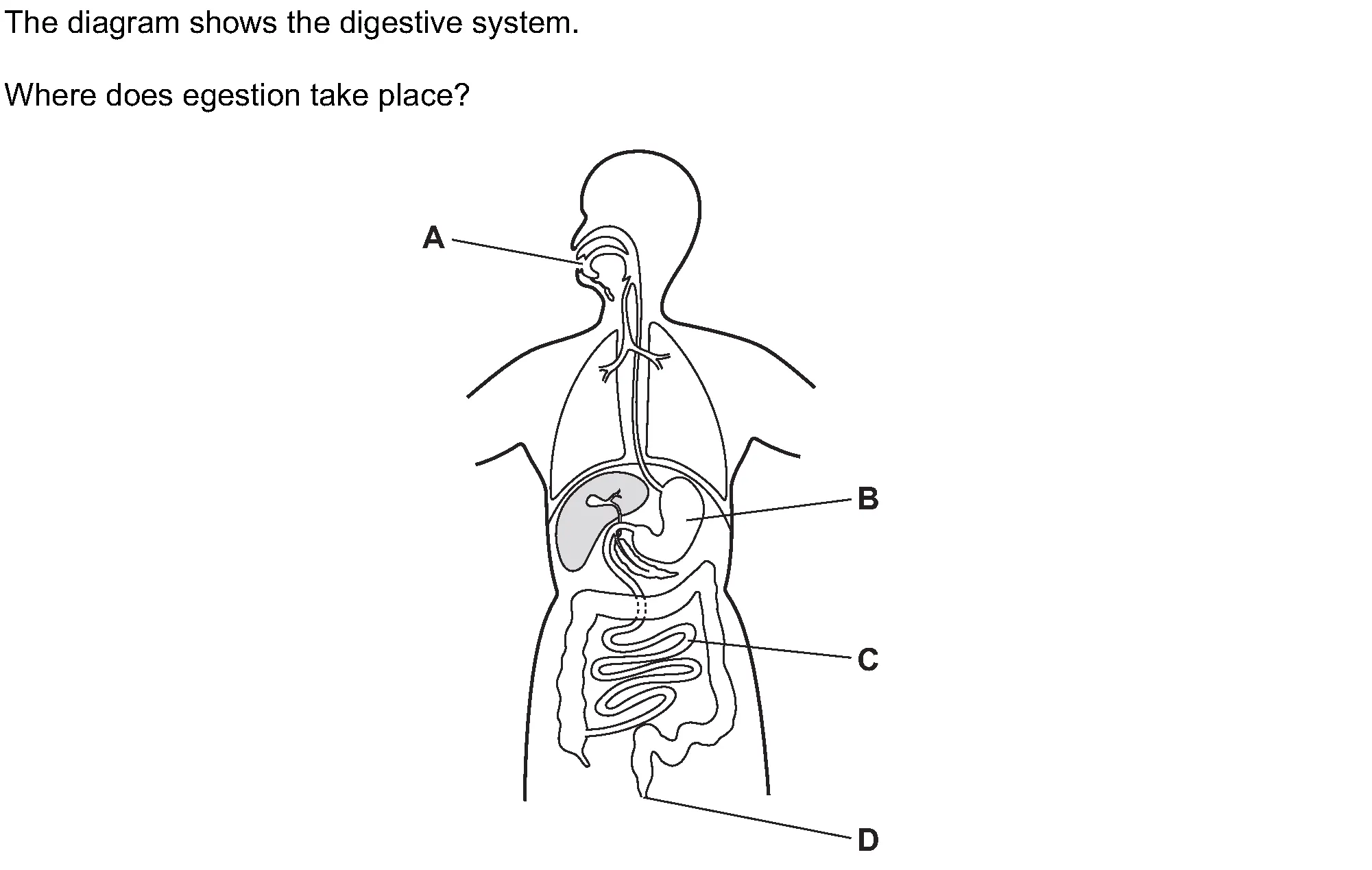 0610 May June 2025 Question 15